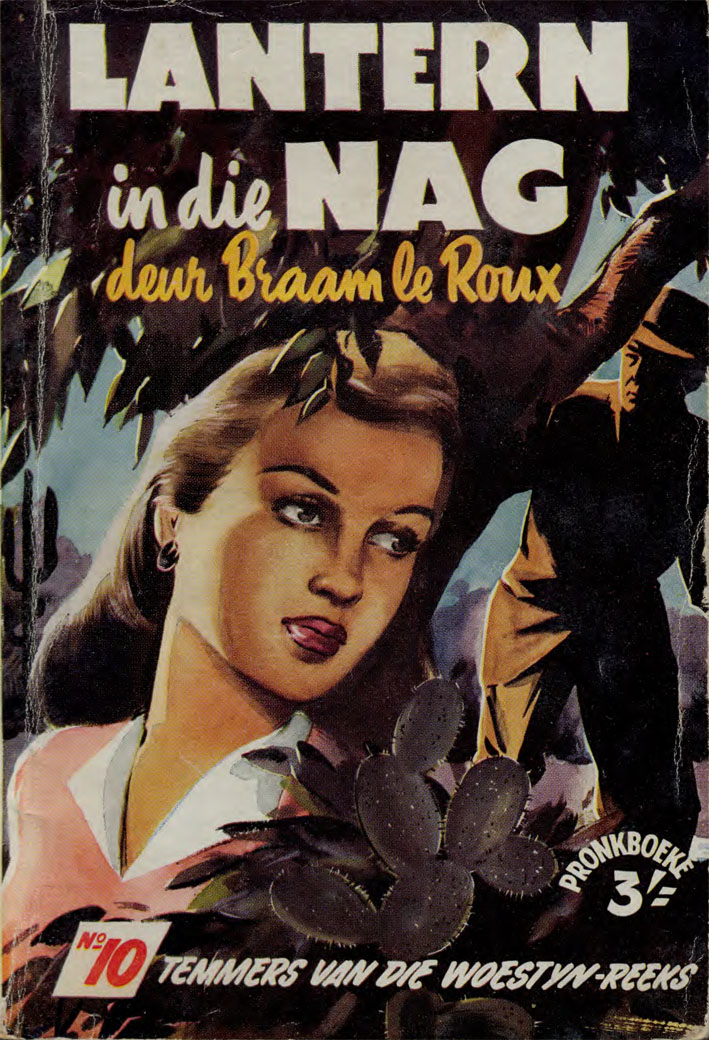 Lantern in die nag